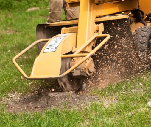 This is a photo of stump grinding being carried out in Harrogate, North Yorkshire byThe Tree Surgeon Harrogate.